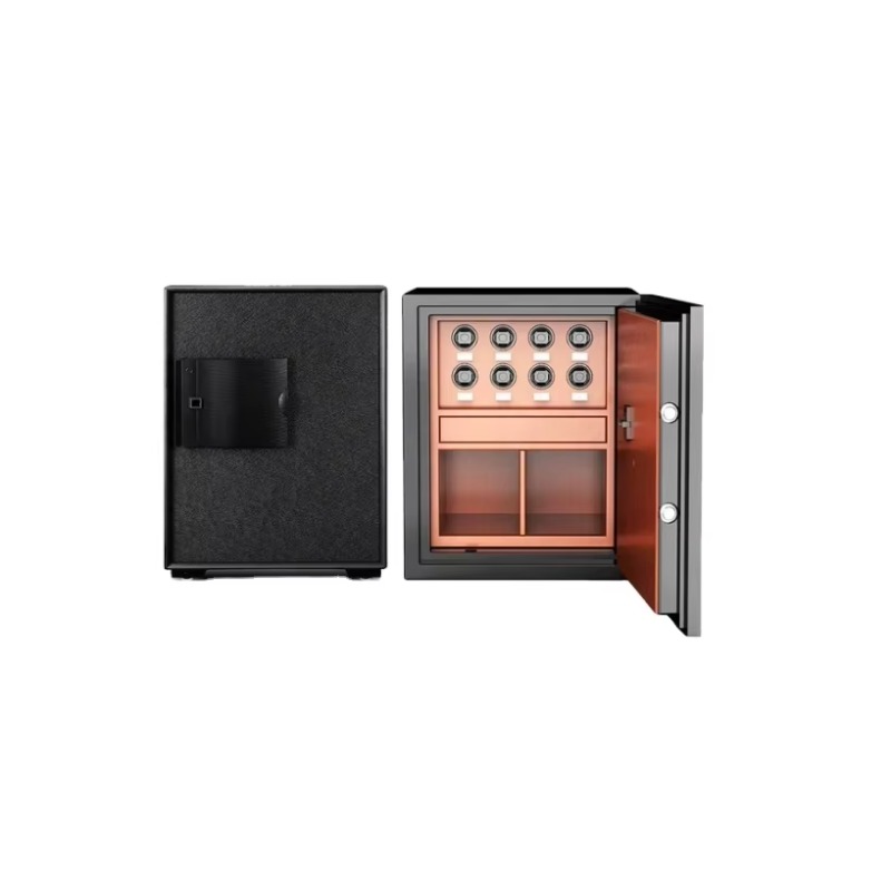 Fireproof and Anti-theft Home  - Luxury Watch Safe 리뷰 및 가격